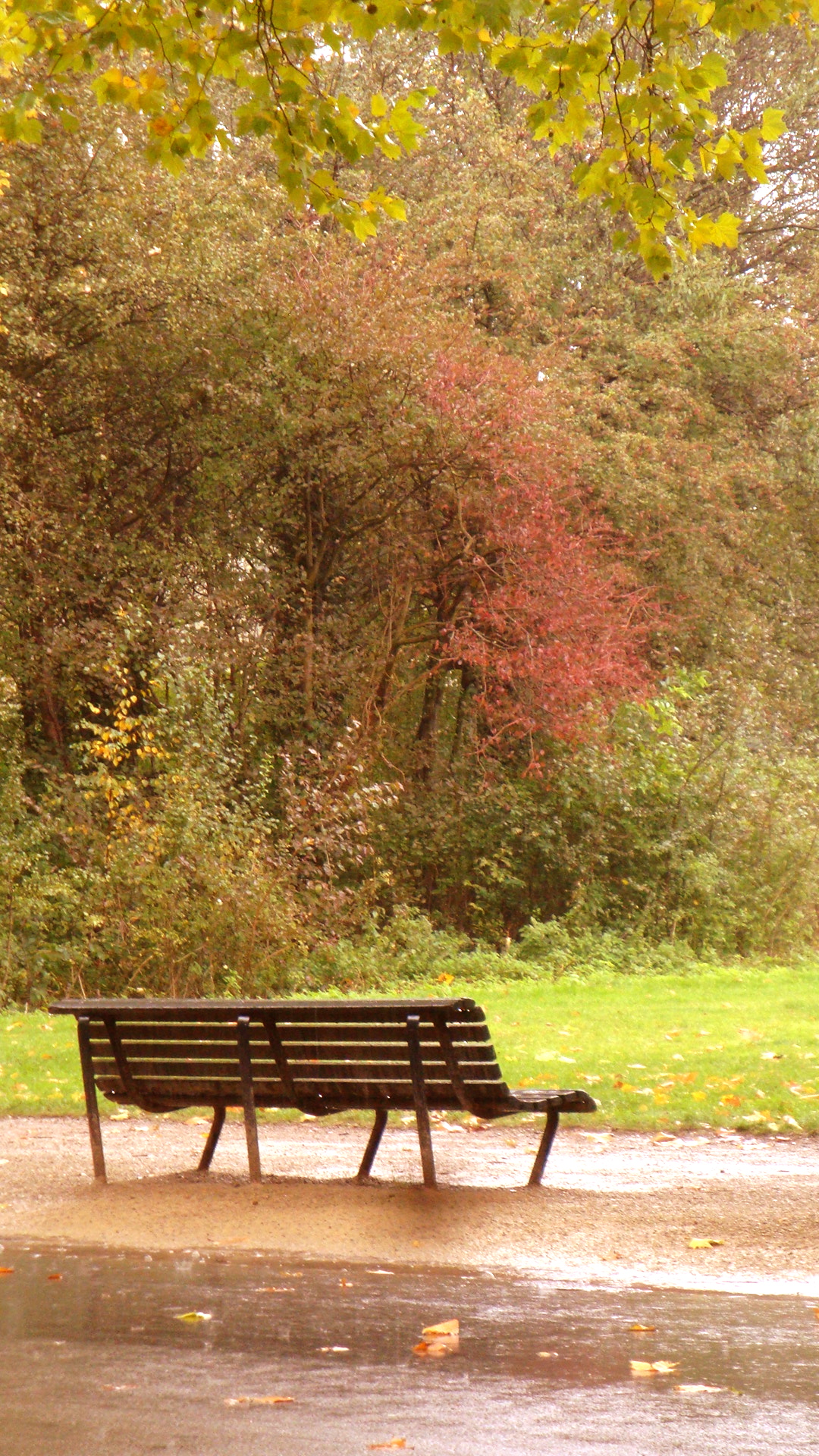 Photo Friday: Empty Bench