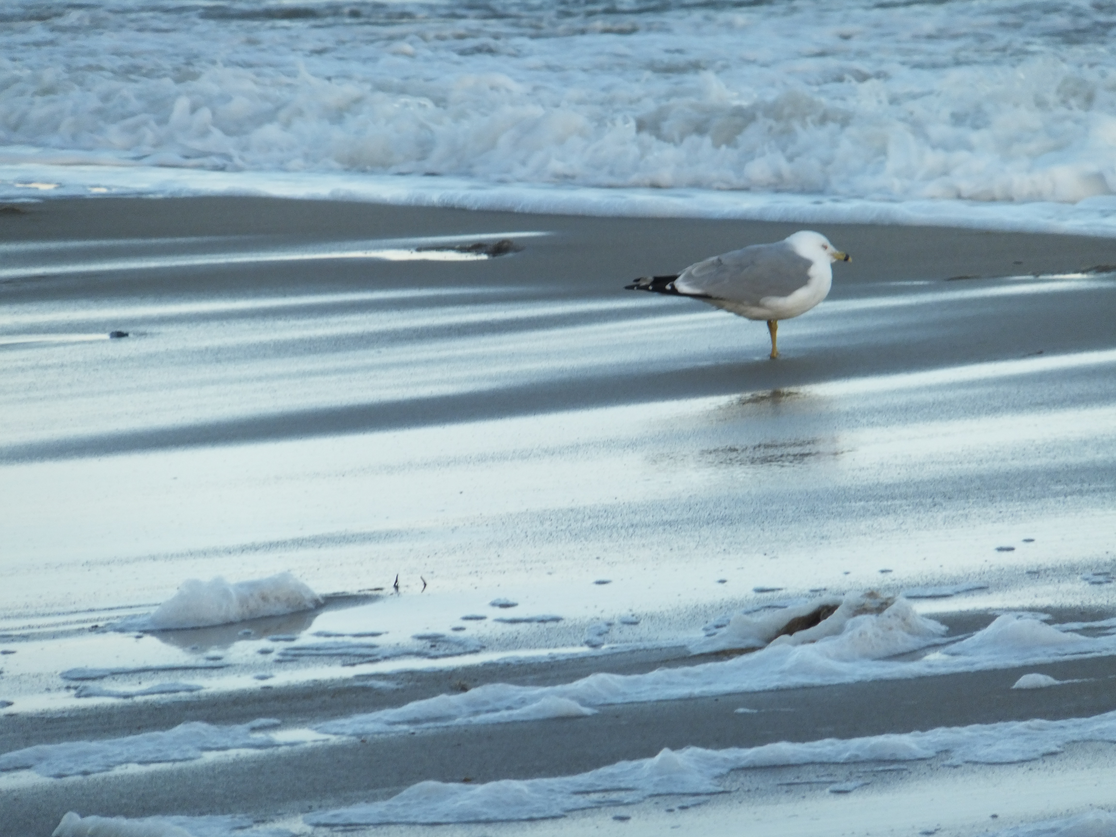 Photo Friday: Back to the Beach