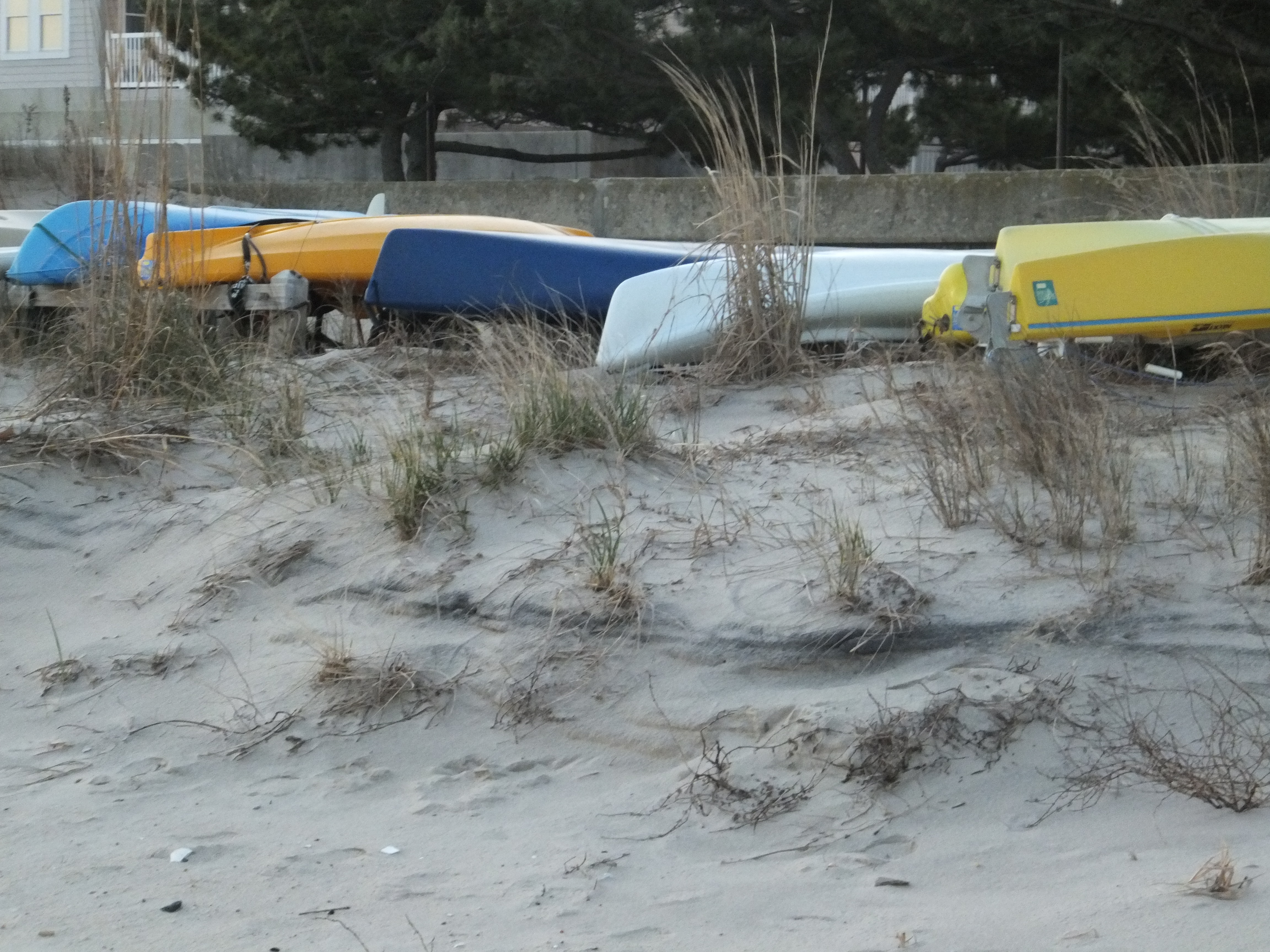 Photo Friday: Summer Boats