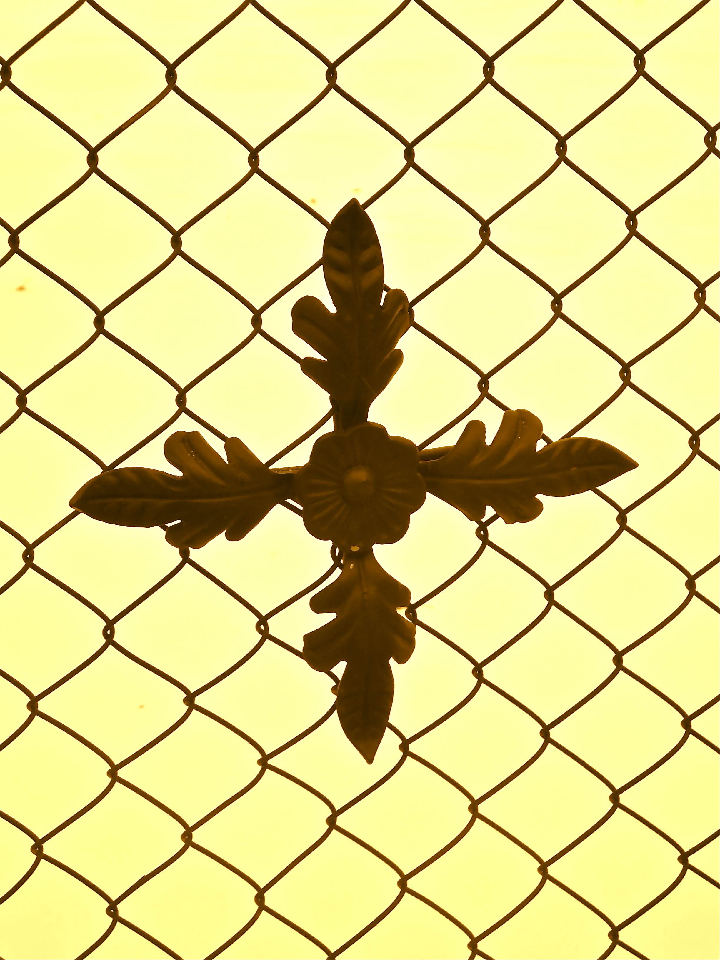 Photo Friday: Chain Link Fence