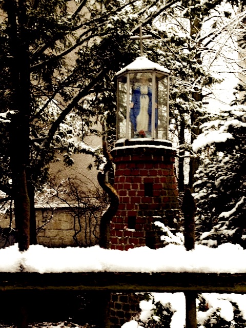 Photo Friday: Little Mary in the Snow