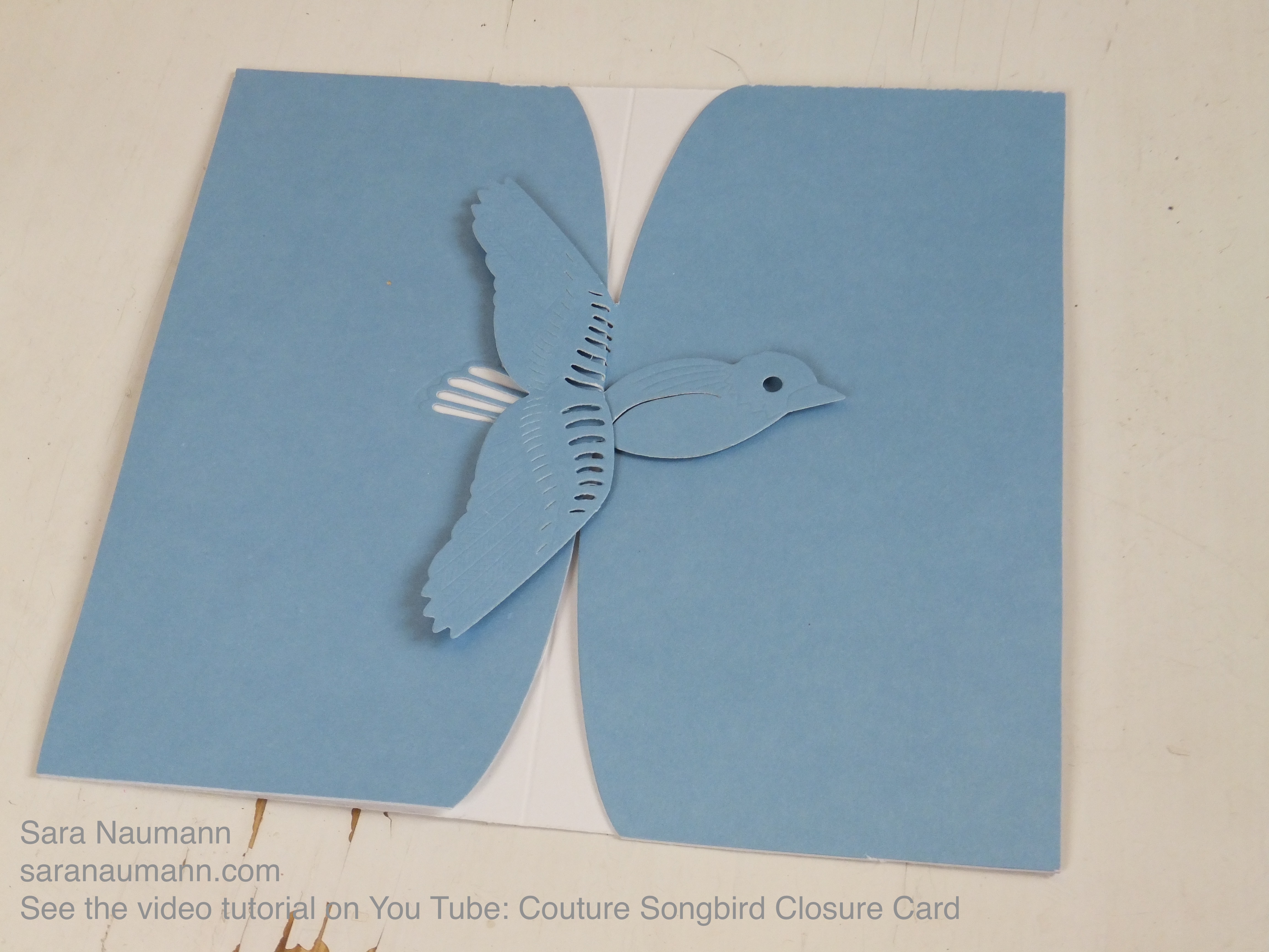 Cardmaking Tips: Couture Songbird Closure Card from Create & Craft