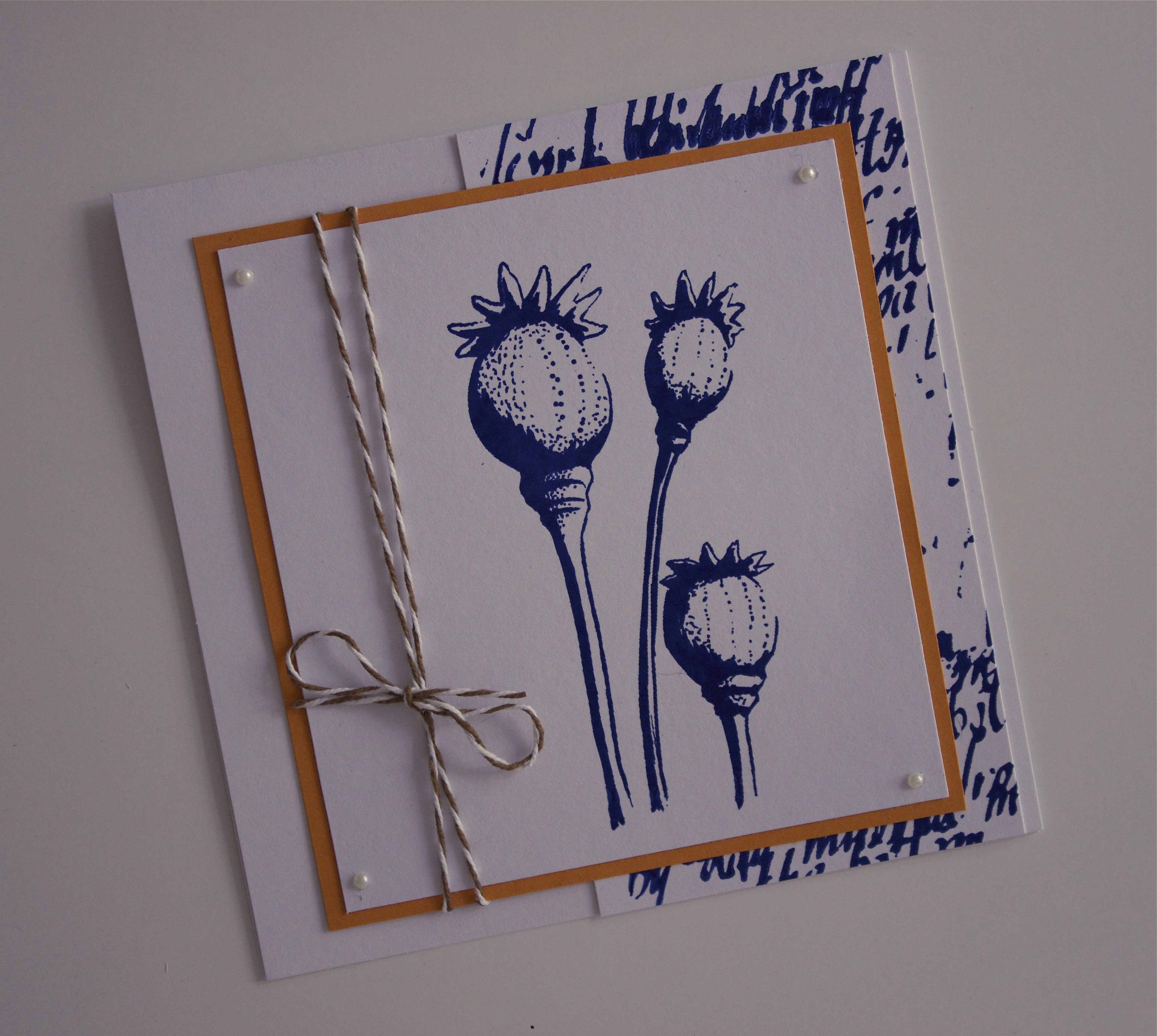 {Project} Wednesday: Screen Sensation Seed Pod Card